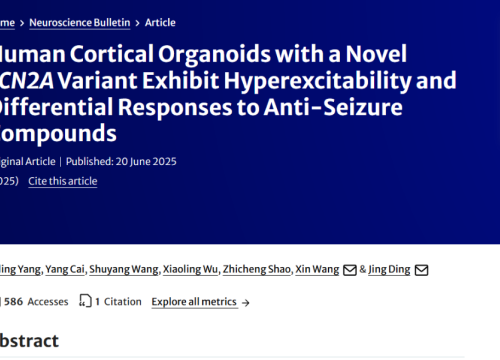 Neuroscience Bulletin, 20 June 2025