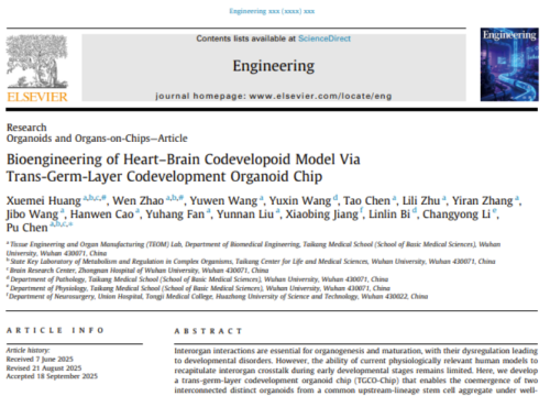 Engineering, 4 October 2025