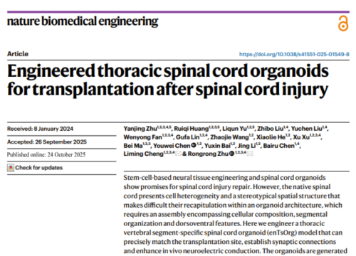 Nature Biomedical Engineering, 24 October 2025