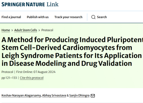 Adult Stem Cells, 07 August 2024