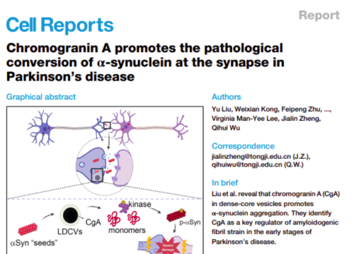 Cell Reports, 25 November, 2025