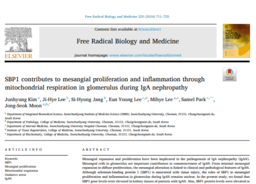 Free Radical Biology and Medicine, 31 October 2024