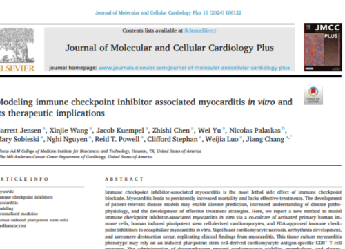 Journal of Molecular and Cellular Cardiology Plus, 20 November 2024