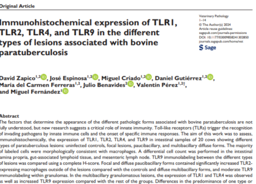 Scientific Reports, 03 December 2024