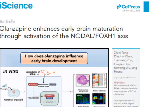 iScience, 18 October 2024