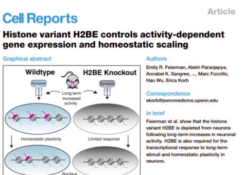 Cell Reports, 19 December 2025