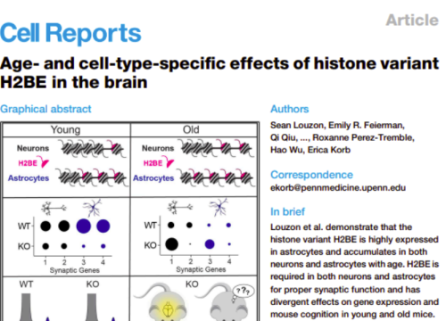 Cell Reports, 23 December 2025