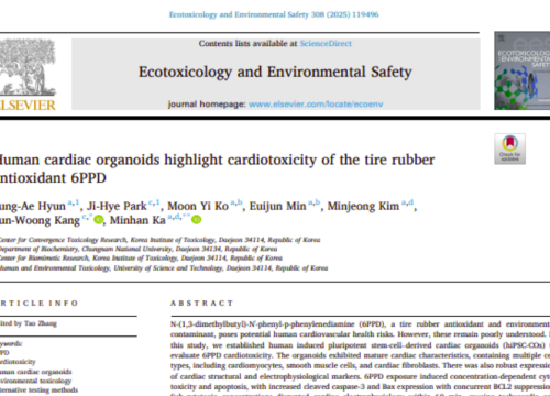 Ecotoxicology and Environmental Safety, 1 December 2025