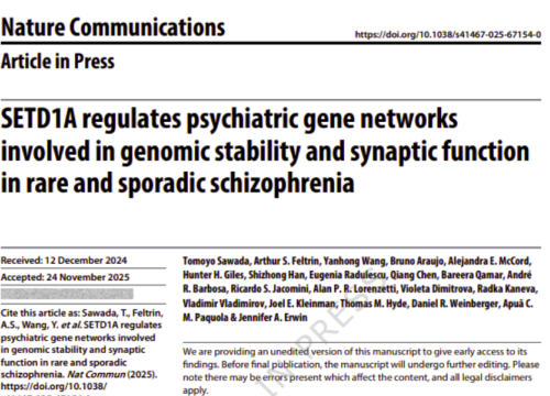 Nature Communications, 20 December 2025