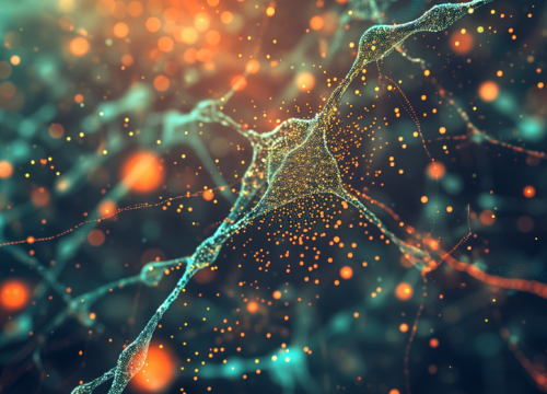 Neurotoxicity and Safety Application