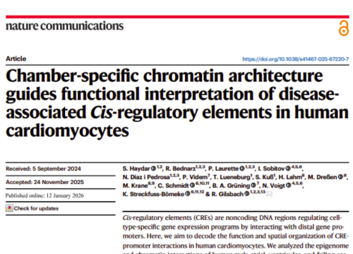 Nature Communications, 12 January 2026