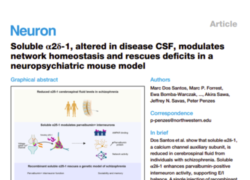 Neuron, 19 March 2026