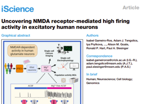 iScience, 20 March 2026