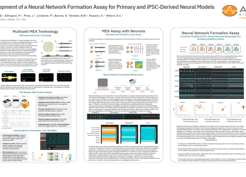 FENS2026_NeuralNetworkFormationAssay