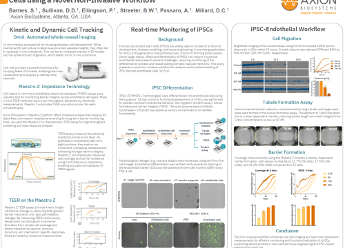 Development and Functional Assessment of iPSC-derived Endothelial Cells using a Novel Non-Invasive Workflow
