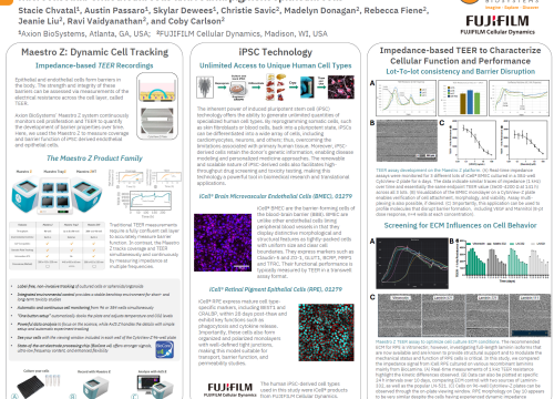 High-throughput assessment of barrier function using human iPSC-derived brain microvascular endothelial cells and retinal pigment epithelial cells