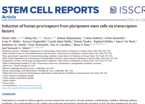 Stem Cell Reports, 9 July 2026