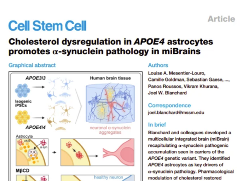 Cell Stem Cell, 03 September 2026