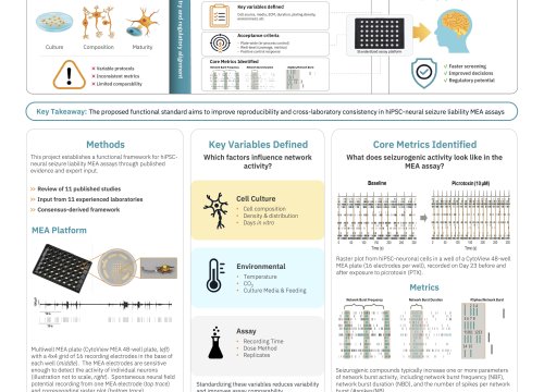 SPS 2026 poster - establishing functional acceptance criteria for hiPSC-neural MEA seizure liability assays