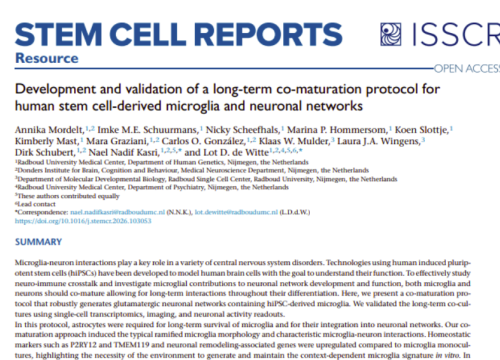 Stem Cell Reports, 08 September 2026